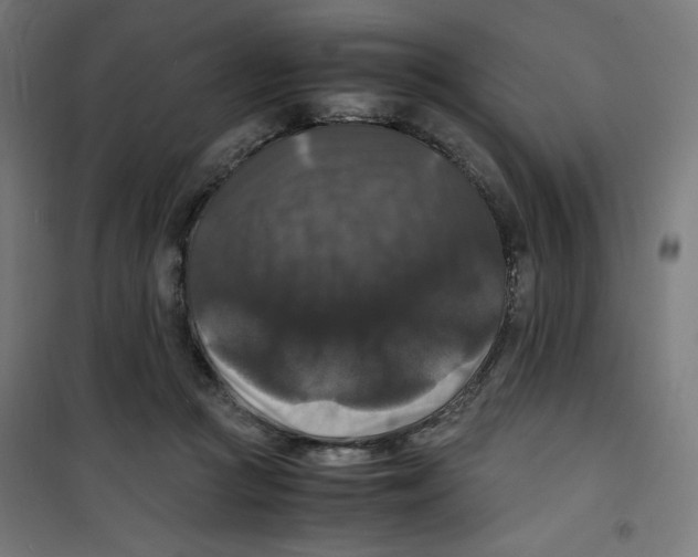 X0000100310361200807031152