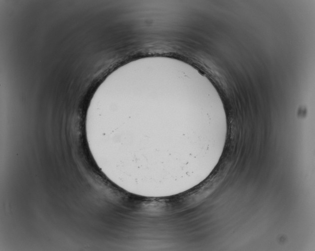 X0000100310362200807031152