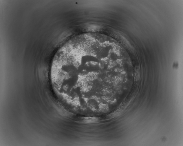 X0000100310363200807031152