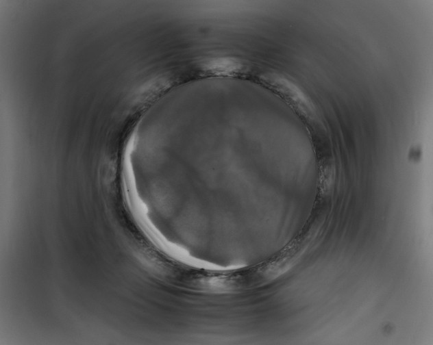X0000100310365200807031152