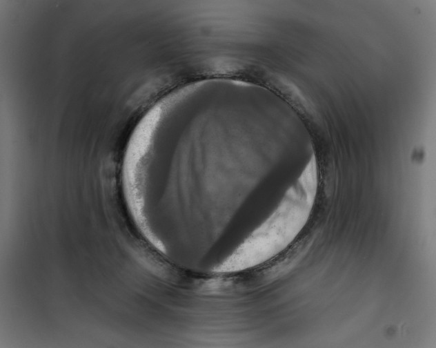 X0000100310366200807031152