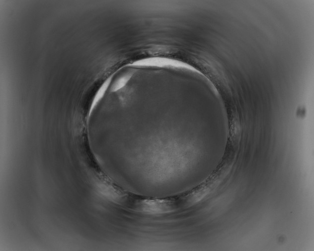 X0000100310367200807031152