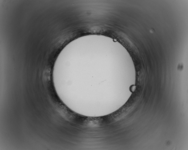 X0000100310368200807031152