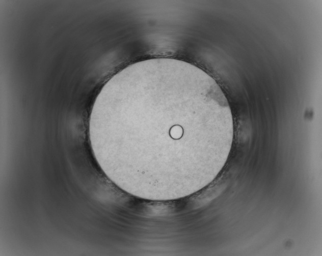 X0000100310370200807031152