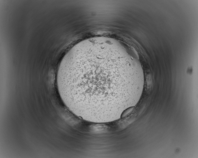 X0000100310372200807031152
