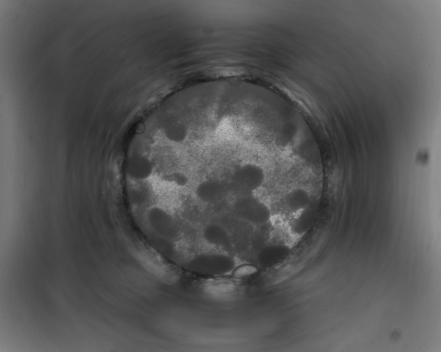 X0000100310373200807031152