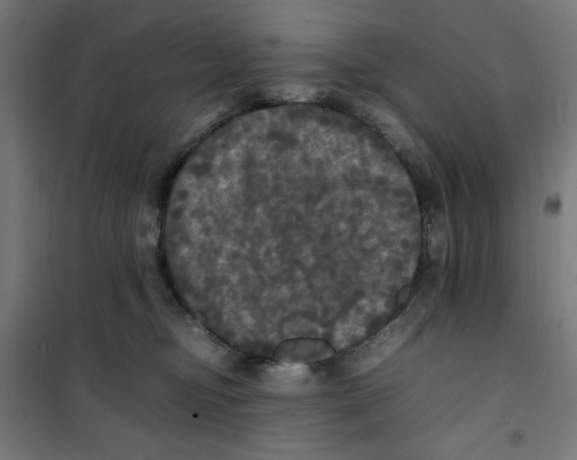 X0000100310374200807031152