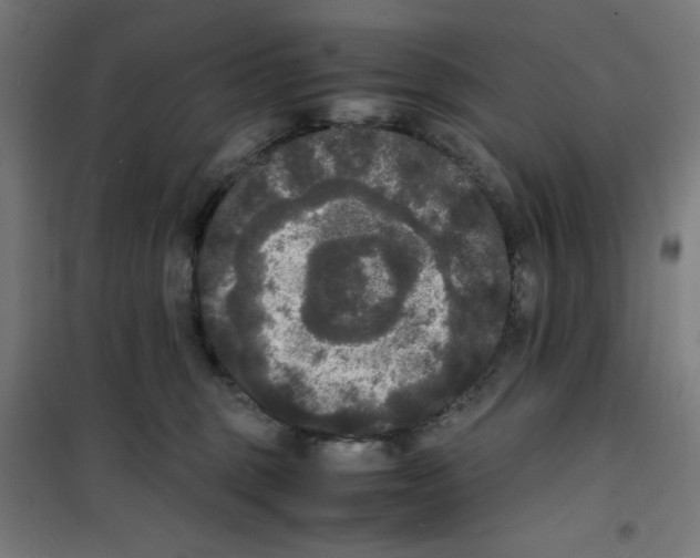 X0000100310375200807031152