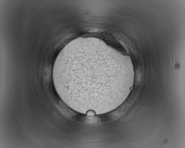 X0000100310376200807031152