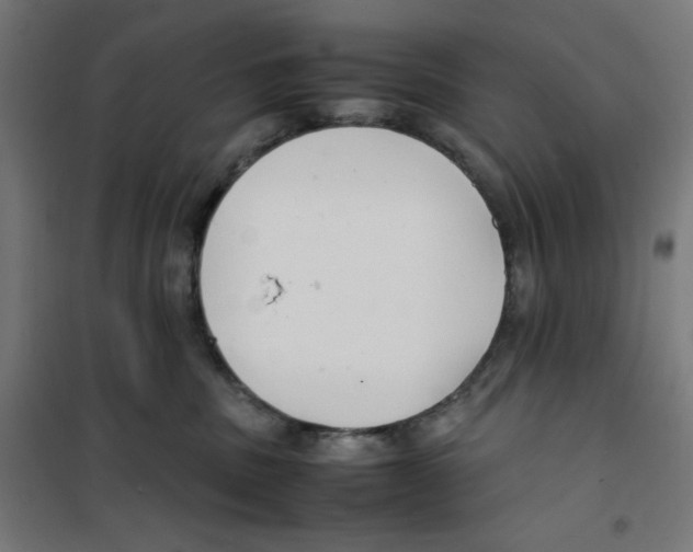 X0000100310379200807031152
