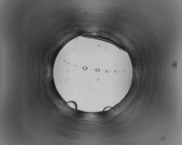 X0000100310380200807031152