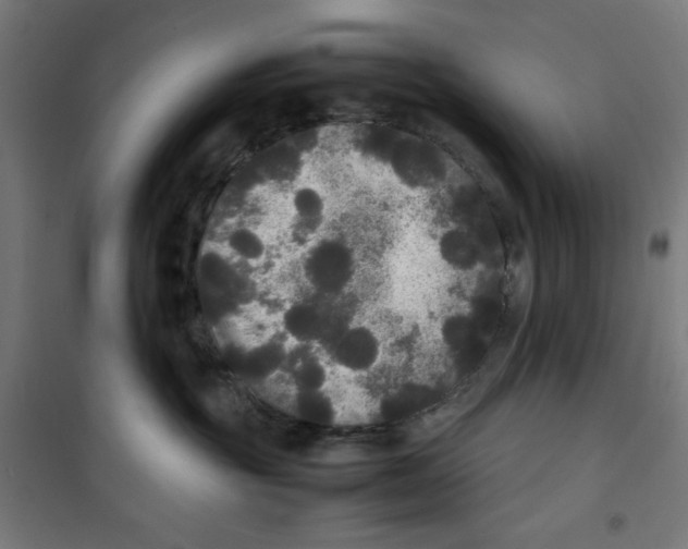 X0000100310381200807031152