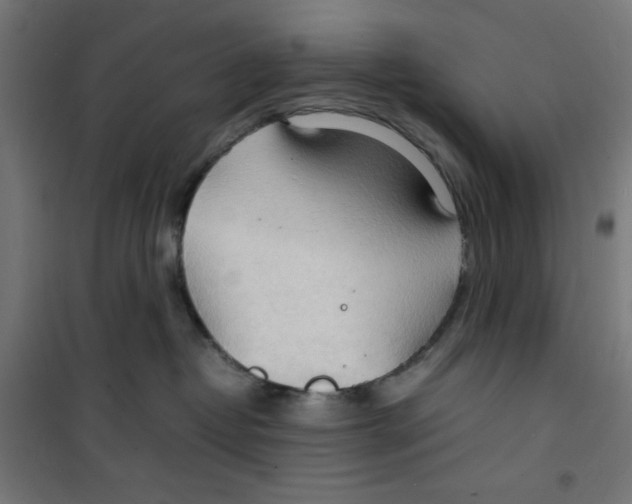 X0000100310382200807031152