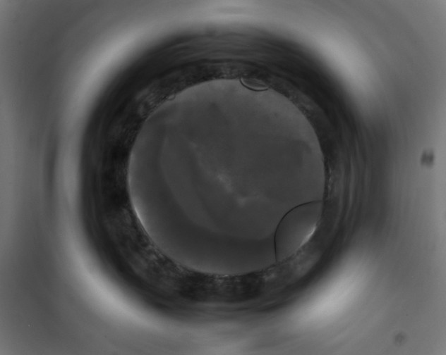 X0000100310383200807031152
