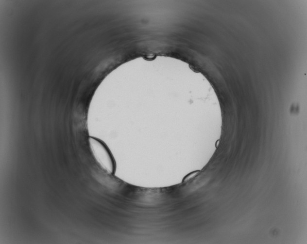 X0000100310384200807031152