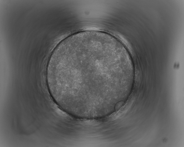 X0000100310385200807031152