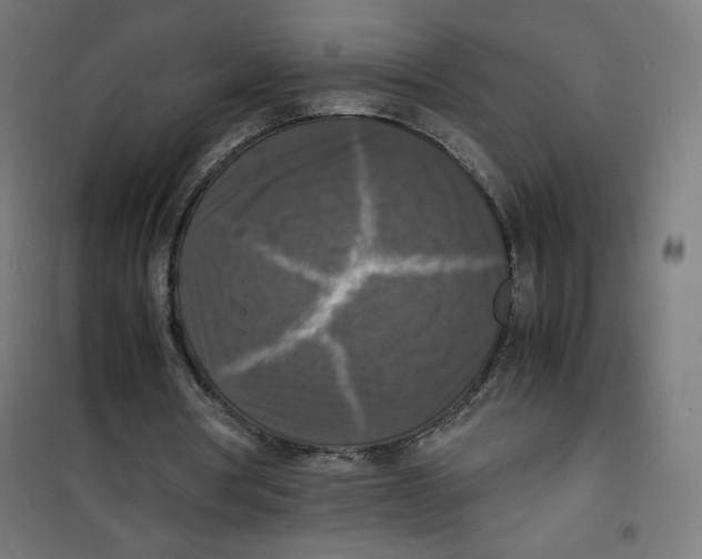 X0000100310386200807031152