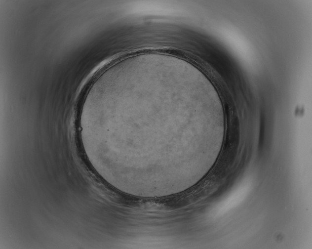 X0000100310387200807031152