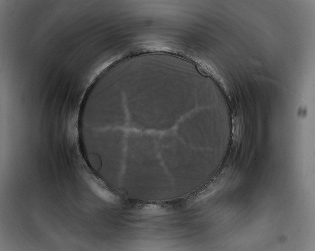 X0000100310390200807031152