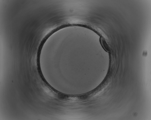 X0000100310391200807031152