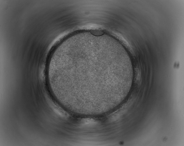 X0000100310392200807031152