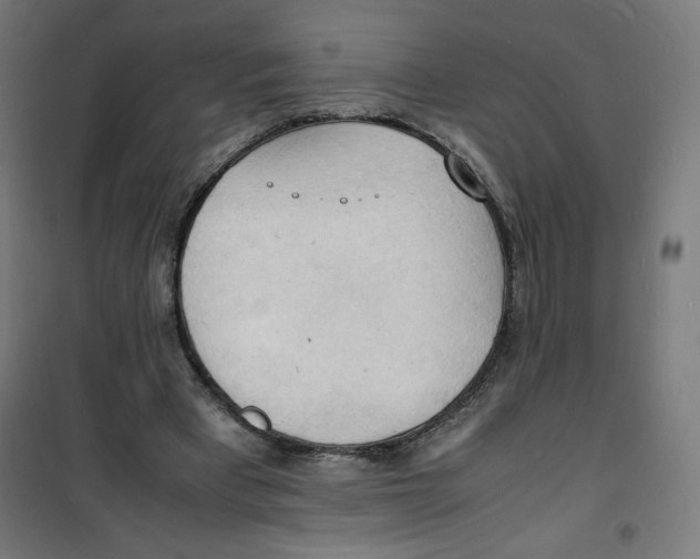 X0000100310393200807031151