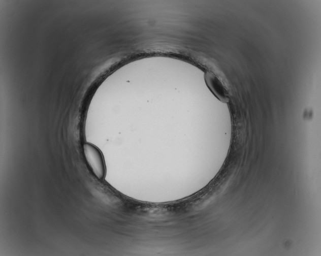X0000100310395200807031151