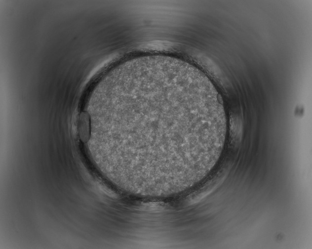 X0000100310396200807031151