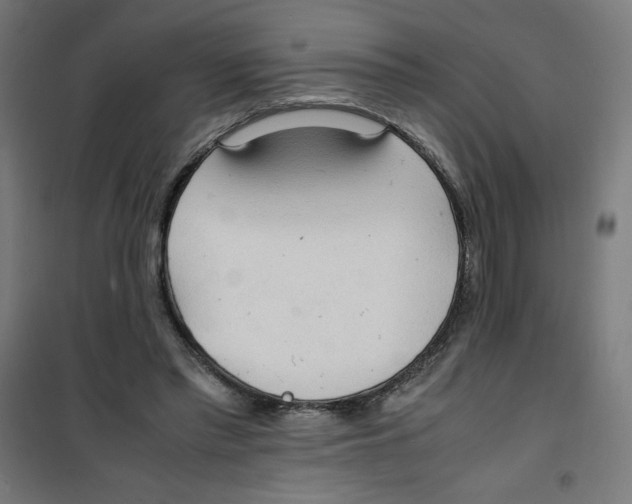 X0000100310397200807031151