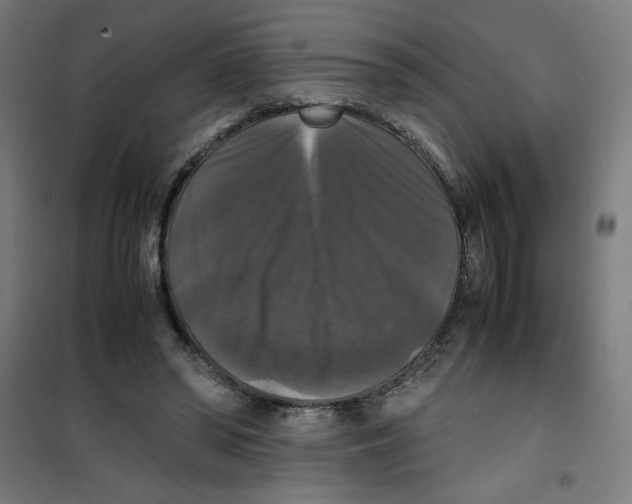 X0000100310398200807031151