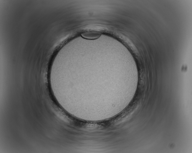 X0000100310399200807031151