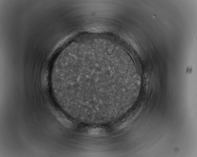 X0000100310400200807031151