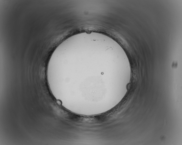 X0000100310401200807031151