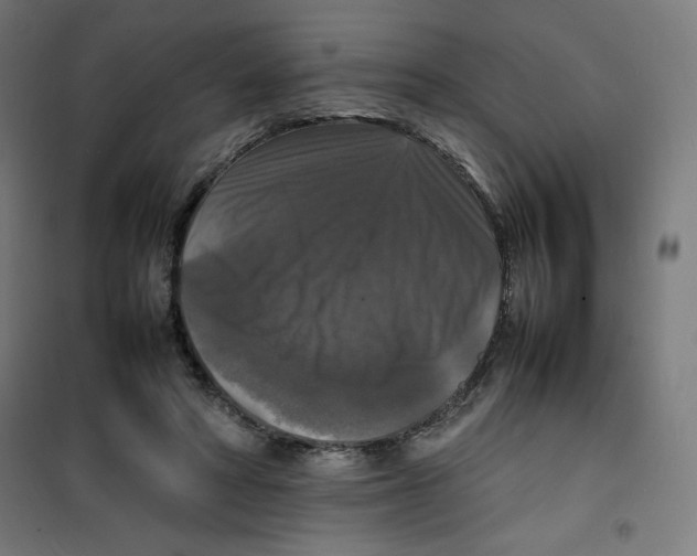 X0000100310402200807031151
