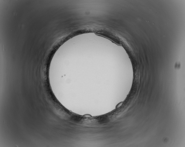 X0000100310403200807031151