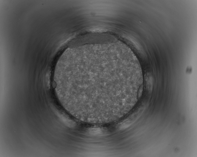 X0000100310404200807031151