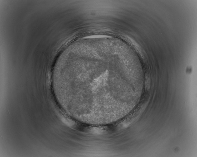 X0000100310405200807031151