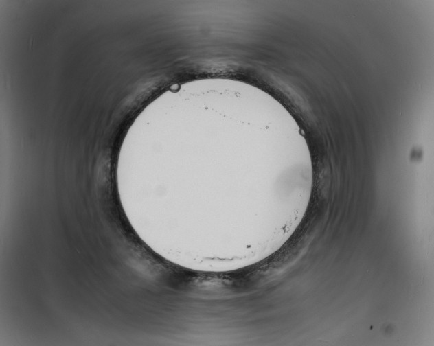 X0000100310407200807031151