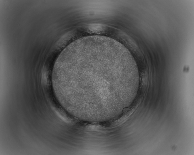 X0000100310408200807031151