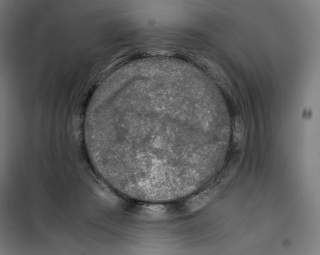 X0000100310409200807031151