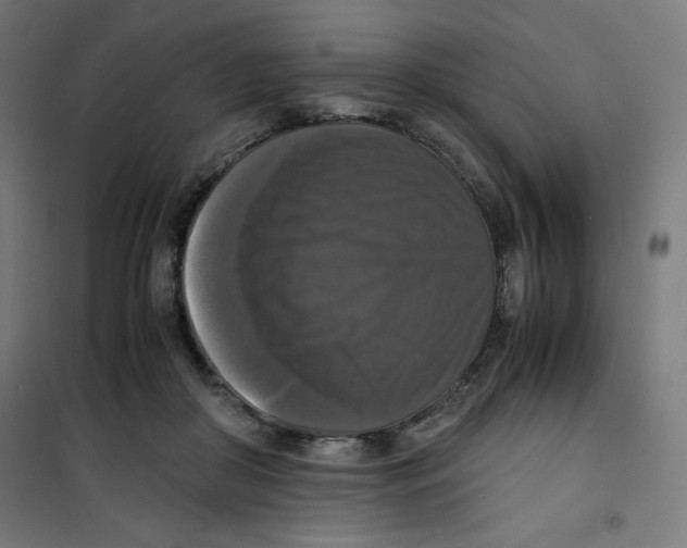 X0000100310410200807031151