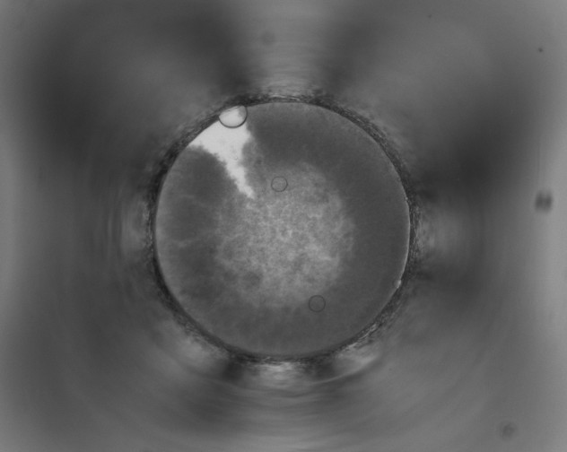 X0000100310411200807031151