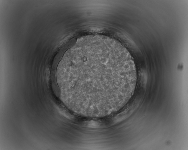 X0000100310412200807031151