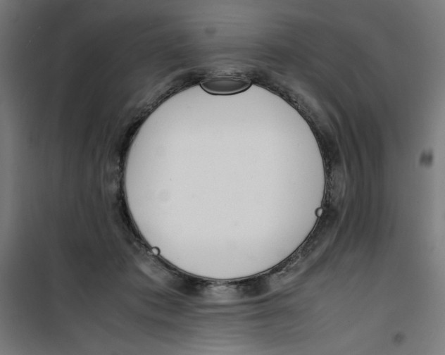 X0000100310413200807031151