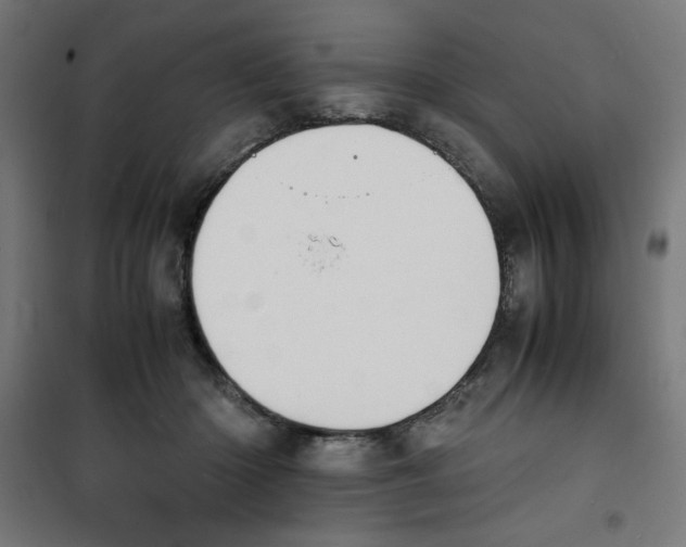 X0000100310414200807031151