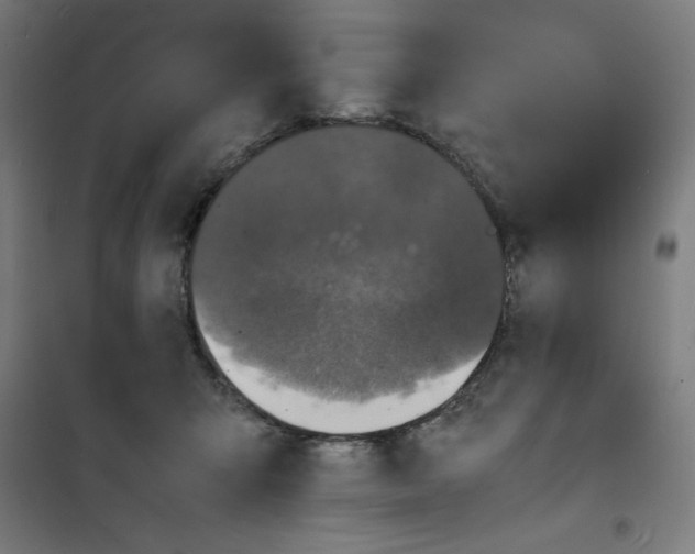 X0000100310415200807031151
