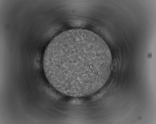 X0000100310416200807031151