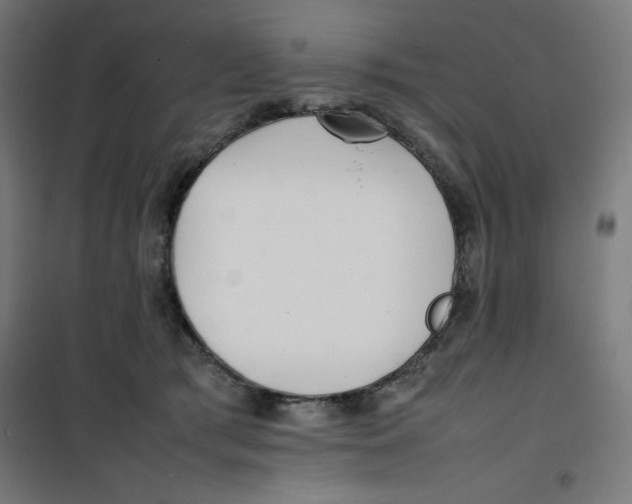 X0000100310417200807031151