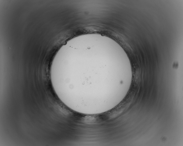 X0000100310418200807031151