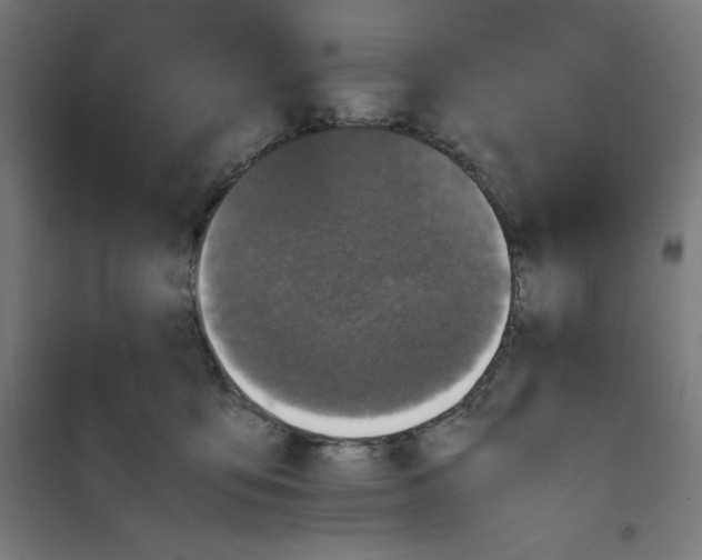 X0000100310419200807031151